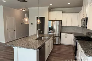 17401 Carolina Hickory Dr, Huntersville, NC 28078 - Photo 4