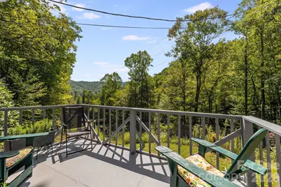 1712 Little Creek Road, Hot Springs, NC 28743 - Photo 34