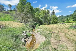 1140 Caney Frk Rd, Marshall, NC 28753 - Photo 40