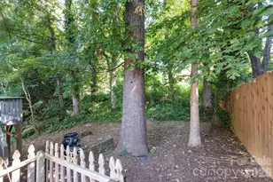 47 Wilmington St, Asheville, NC 28806 - Photo 20