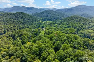 898 Morgan Hill Rd, Black Mountain, NC 28711 - Photo 46