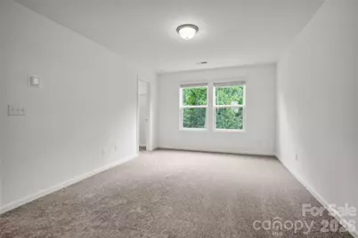 14125 Braidenwood Lane, Charlotte, NC 28278 - Photo 14