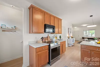 14525 Holly Springs Drive, Huntersville, NC 28078 - Photo 14