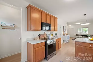 14525 Holly Springs Dr, Huntersville, NC 28078 - Photo 14