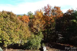 97 Toxaway Vws Dr, Lake Toxaway, NC 28747 - Photo 42