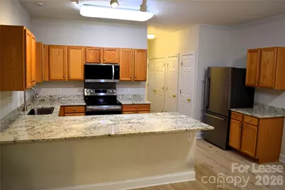 19919 Weeping Water Run, Cornelius, NC 28031 - Photo 10