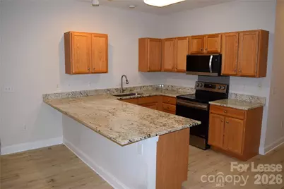 19919 Weeping Water Run, Cornelius, NC 28031 - Photo 12