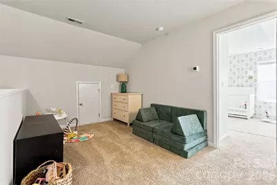 166 Canina Lane, Indian Trail, NC 28079 - Photo 22