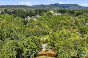 423 Reems Creek Rd, Weaverville, NC 28787 - Photo 34