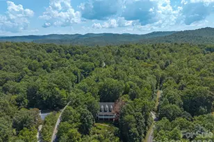 29 Panther Ridge Rd, Brevard, NC 28712 - Photo 46