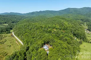 1886 Tanasee Gap Rd, Balsam Grove, NC 28708 - Photo 46