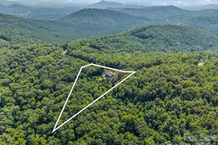 485 Mountain Lookout Dr, Bostic, NC 28018 - Photo 40
