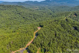 485 Mountain Lookout Dr, Bostic, NC 28018 - Photo 46