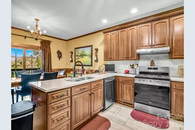 1237 South Cove Road, Mill Spring, NC 28756 - Photo 10