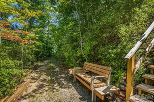 1237 S Cove Rd, Mill Spring, NC 28756 - Photo 38