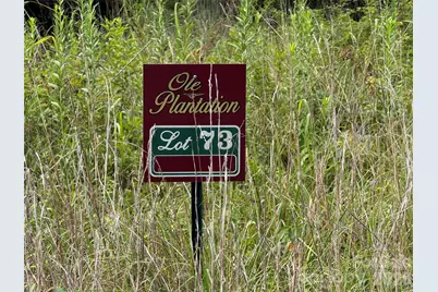 Lot 73 Ole Plantation Drive, Rutherfordton, NC 28139 - Photo 6