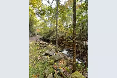 724 Blackgum Court #350, Hendersonville, NC 28739 - Photo 1
