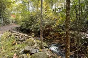 724 Blackgum Ct, Hendersonville, NC 28739 - Photo 1