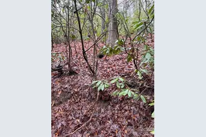 724 Blackgum Court #350, Hendersonville, NC 28739 - Photo 2
