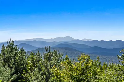 99 Distant View Drive #99, Asheville, NC 28803 - Photo 2