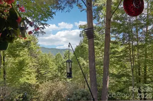 782 Setzer Cove Rd, Maggie Valley, NC 28751 - Photo 46