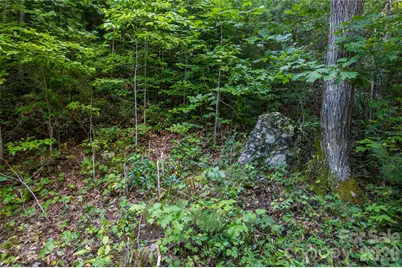 Off Little East Fork Road #L-1, Canton, NC 28716 - Photo 12