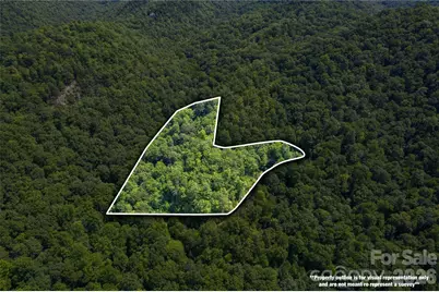 Off Little East Fork Road #L-1, Canton, NC 28716 - Photo 8