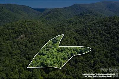 Off Little East Fork Road #L-1, Canton, NC 28716 - Photo 6