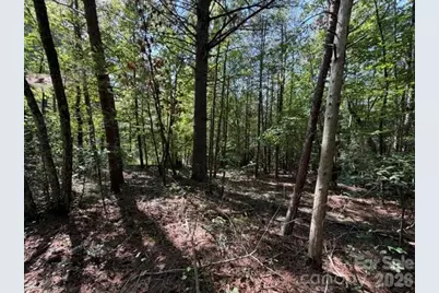 3205 Oran Yount Lane, Granite Falls, NC 28630 - Photo 14