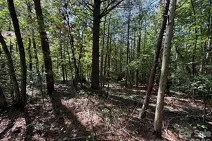 3205 Oran Yount Ln, Granite Falls, NC 28630 - Photo 14
