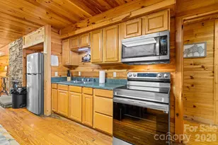 55 57 Observation Point Dr, Bryson City, NC 28713 - Photo 8