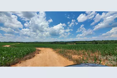 3641 US Highway 21 Highway, Hamptonville, NC 27020 - Photo 22