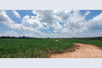 3641 US Highway 21 Highway, Hamptonville, NC 27020 - Photo 26