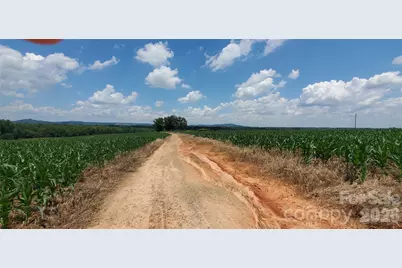 3641 US Highway 21 Highway, Hamptonville, NC 27020 - Photo 12