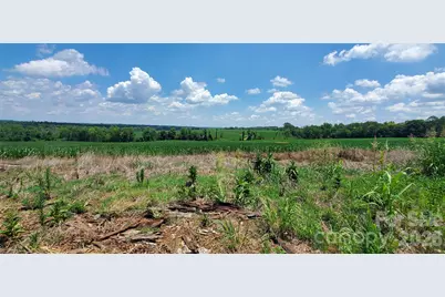 3641 US Highway 21 Highway, Hamptonville, NC 27020 - Photo 4
