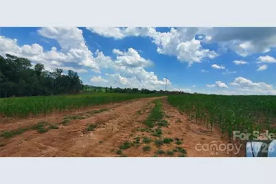 3641 US Highway 21 Highway, Hamptonville, NC 27020 - Photo 34