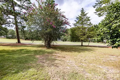 7 Buckhorn Road, Jackson Springs, NC 27281 - Photo 4