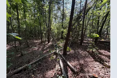 476 Southern Way, Nebo, NC 28761 - Photo 14