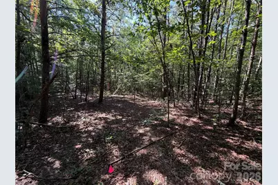 476 Southern Way, Nebo, NC 28761 - Photo 8