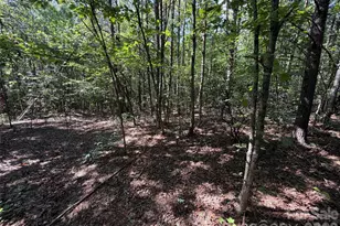 476 Southern Way, Nebo, NC 28761 - Photo 1