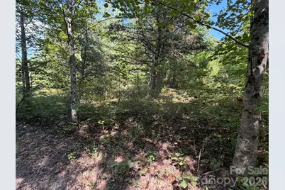 420 Southern Way, Nebo, NC 28761 - Photo 4