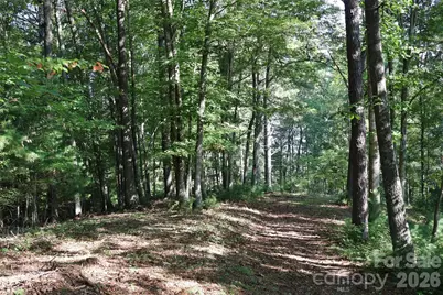 99999 Dream Valley Drive, Clyde, NC 28721 - Photo 14