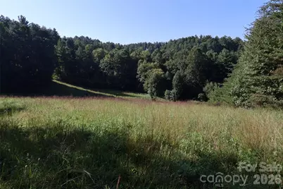 99999 Dream Valley Drive, Clyde, NC 28721 - Photo 6