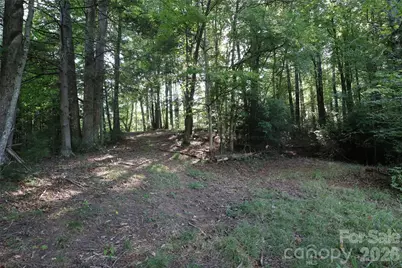 99999 Dream Valley Drive, Clyde, NC 28721 - Photo 8