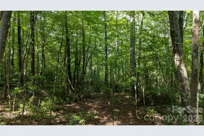 Lot 1 Hogback Mountain Road #1, Tryon, NC 28782 - Photo 14