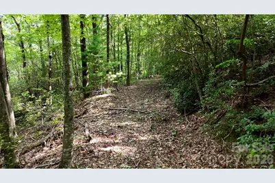 Lot 1 Hogback Mountain Road #1, Tryon, NC 28782 - Photo 8