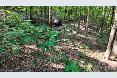 Lot 1 Hogback Mountain Road #1, Tryon, NC 28782 - Photo 18