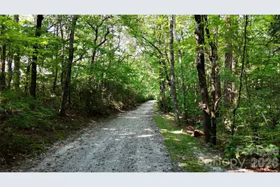 Lot 2 Hogback Mountain Road #2, Tryon, NC 28782 - Photo 10