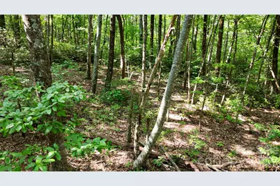 Lot 2 Hogback Mountain Road #2, Tryon, NC 28782 - Photo 14