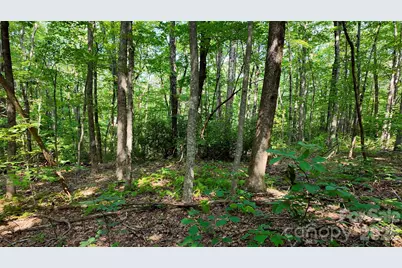 Lot 2 Hogback Mountain Road #2, Tryon, NC 28782 - Photo 12